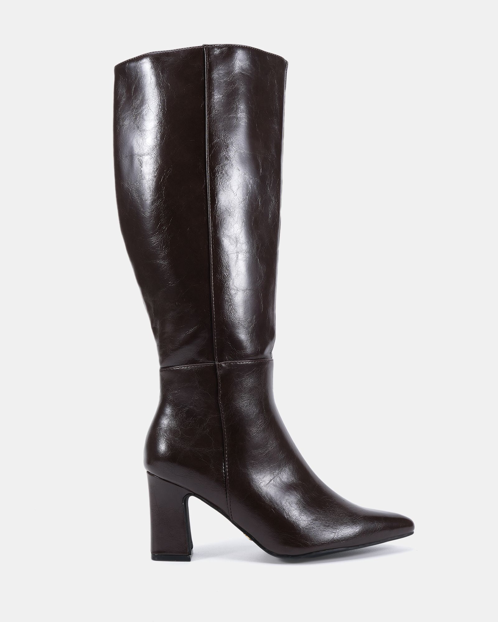 Gala Brown Point Toe Block Heel Knee Boot